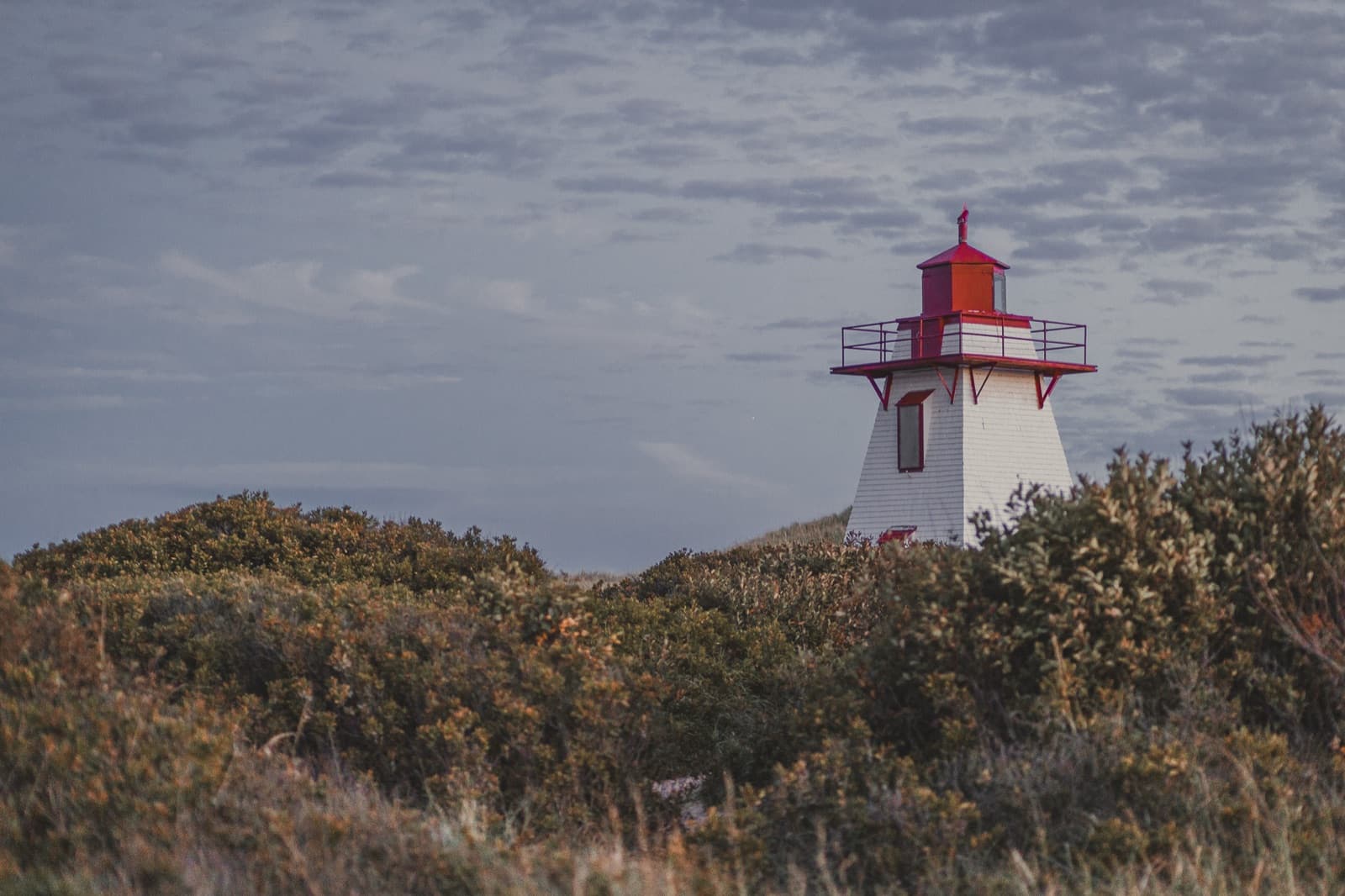 Red-roofed lighthouse in dune grass at dusk