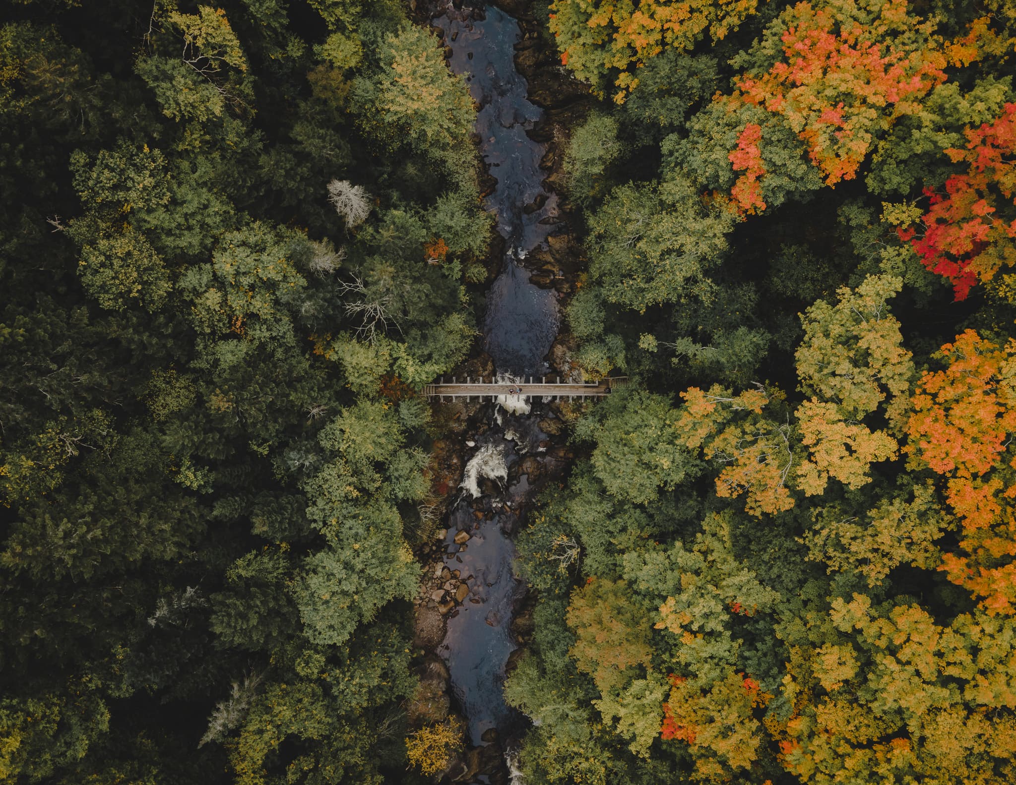 Aerial drone photograph of a footbridge over an autumn river